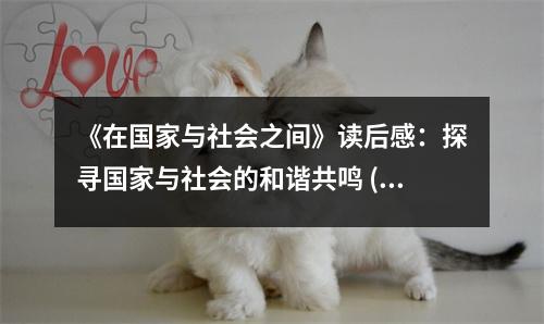 《在國(guó)家與社會(huì)之間》讀后感：探尋國(guó)家與社會(huì)的和諧共鳴 (850字)
