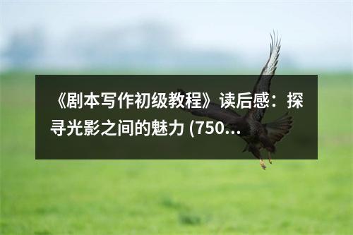 《劇本寫作初級教程》讀后感：探尋光影之間的魅力 (750字)