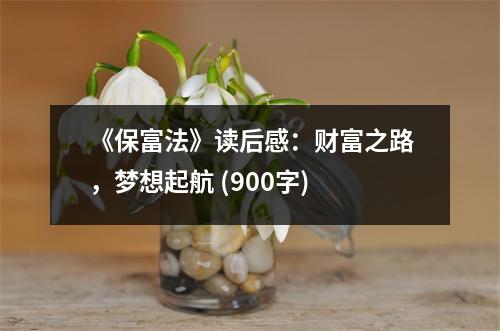 《保富法》讀后感：財富之路，夢想起航 (900字)