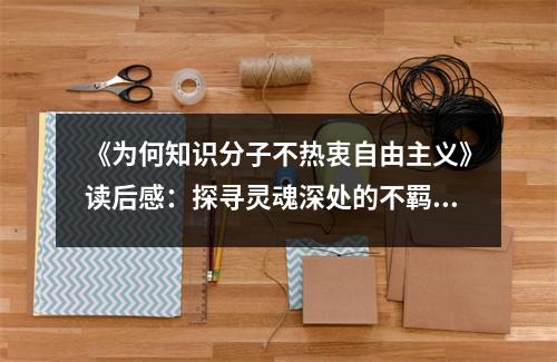 《為何知識分子不熱衷自由主義》讀后感：探尋靈魂深處的不羈渴望 (1050字)