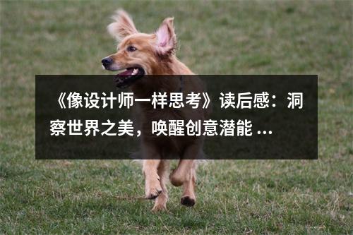 《像設(shè)計師一樣思考》讀后感：洞察世界之美，喚醒創(chuàng)意潛能 (750字)