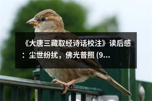 《大唐三藏取經(jīng)詩話校注》讀后感：塵世紛擾，佛光普照 (900字)