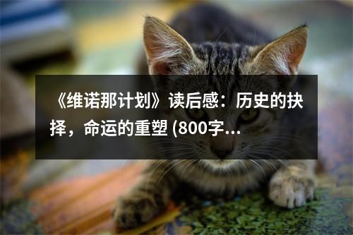 《維諾那計(jì)劃》讀后感：歷史的抉擇，命運(yùn)的重塑 (800字)