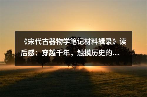 《宋代古器物學筆記材料輯錄》讀后感：穿越千年，觸摸歷史的溫度 (1000字)