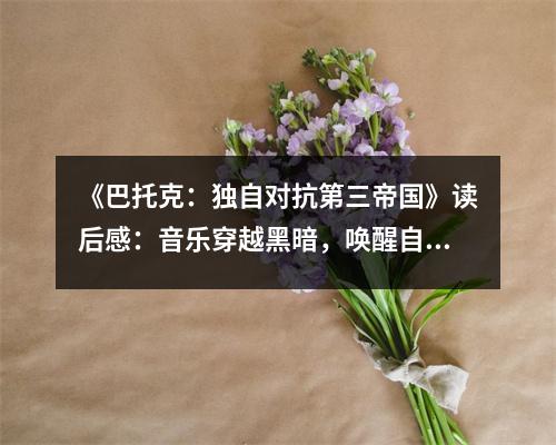 《巴托克：獨自對抗第三帝國》讀后感：音樂穿越黑暗，喚醒自由靈魂 (750字)