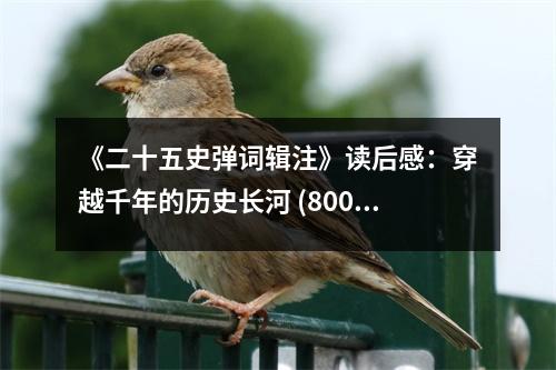 《二十五史彈詞輯注》讀后感：穿越千年的歷史長(zhǎng)河 (800字)