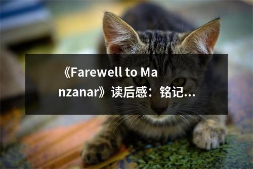 《Farewell to Manzanar》讀后感：銘記歷史，珍惜和平 (950字)