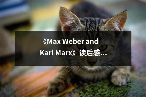 《Max Weber and Karl Marx》讀后感：跨越時(shí)空的經(jīng)濟(jì)學(xué)對(duì)話 (1000字)