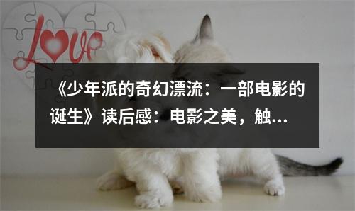 《少年派的奇幻漂流：一部電影的誕生》讀后感：電影之美，觸動心靈深處 (900字)