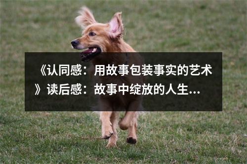 《認(rèn)同感：用故事包裝事實(shí)的藝術(shù)》讀后感：故事中綻放的人生智慧 (1100字)