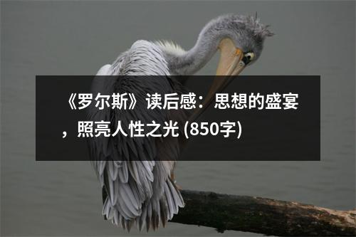 《羅爾斯》讀后感：思想的盛宴，照亮人性之光 (850字)