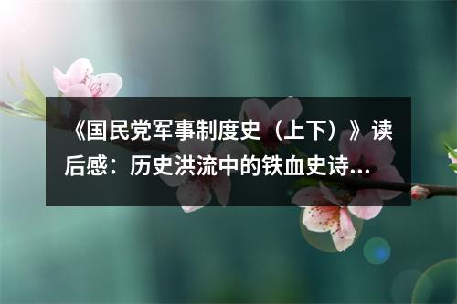 《國(guó)民黨軍事制度史（上下）》讀后感：歷史洪流中的鐵血史詩(shī) (1050字)