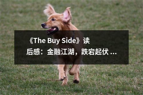 《The Buy Side》讀后感：金融江湖，跌宕起伏 (750字)