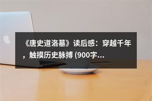 《唐史道洛墓》讀后感：穿越千年，觸摸歷史脈搏 (900字)