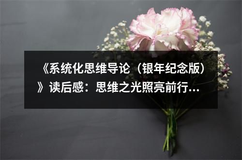《系統(tǒng)化思維導(dǎo)論（銀年紀(jì)念版）》讀后感：思維之光照亮前行路 (850字)