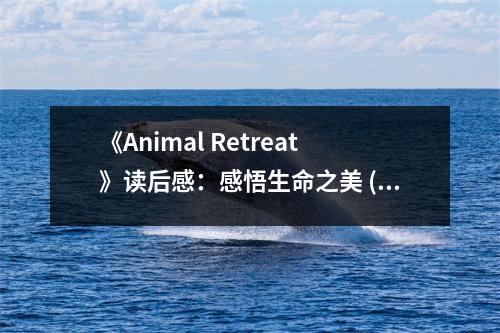 《Animal Retreat》讀后感：感悟生命之美 (650字)