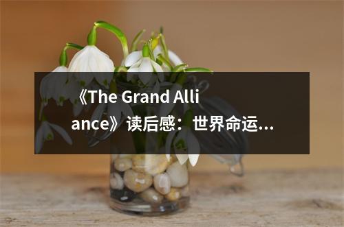 《The Grand Alliance》讀后感：世界命運(yùn)共同體之濫觴 (750字)