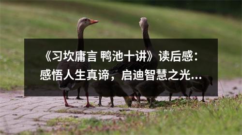 《習(xí)坎庸言 鴨池十講》讀后感：感悟人生真諦，啟迪智慧之光 (1350字)
