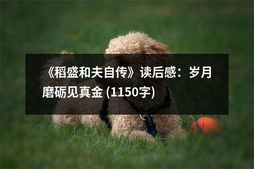 《稻盛和夫自傳》讀后感：歲月磨礪見真金 (1150字)