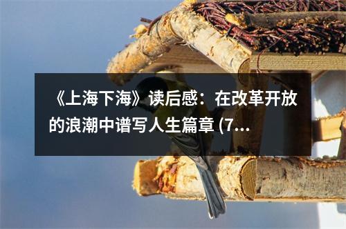 《上海下?！纷x后感：在改革開(kāi)放的浪潮中譜寫(xiě)人生篇章 (700字)