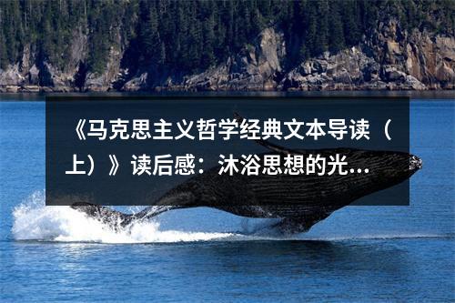 《馬克思主義哲學(xué)經(jīng)典文本導(dǎo)讀（上）》讀后感：沐浴思想的光輝 (950字)