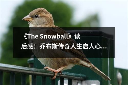 《The Snowball》讀后感：?jiǎn)滩妓箓髌嫒松鷨⑷诵闹?(800字)