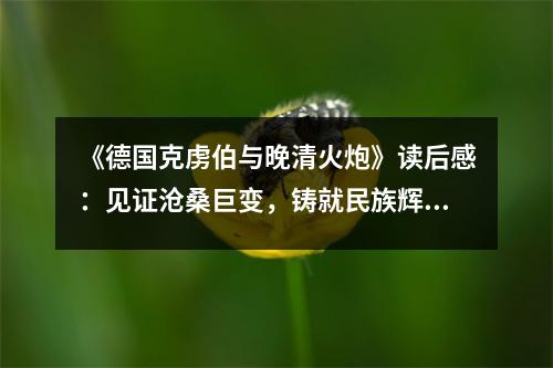 《德國克虜伯與晚清火炮》讀后感：見證滄桑巨變，鑄就民族輝煌 (800字)