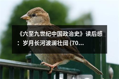 《六至九世紀(jì)中國政治史》讀后感：歲月長河波瀾壯闊 (700字)