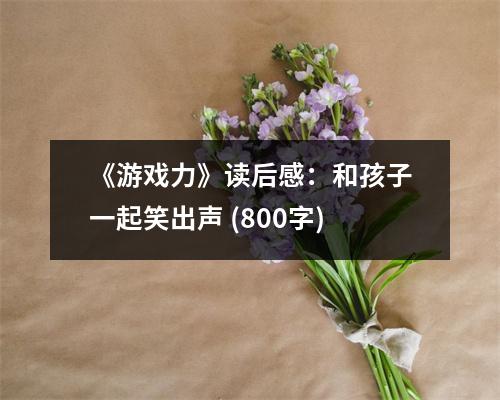 《游戲力》讀后感：和孩子一起笑出聲 (800字)
