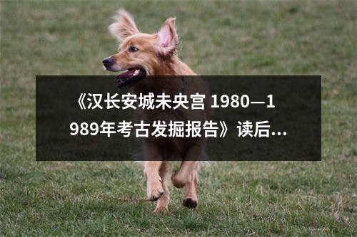 《漢長安城未央宮 1980—1989年考古發(fā)掘報告》讀后感：歷史長河波瀾壯闊 (750字)
