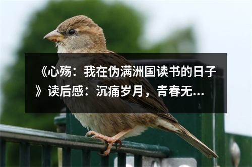 《心殤：我在偽滿洲國讀書的日子》讀后感：沉痛歲月，青春無畏 (1000字)