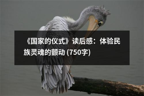 《國家的儀式》讀后感：體驗民族靈魂的顫動 (750字)
