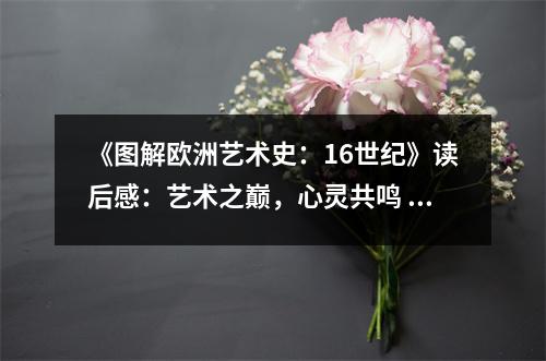 《圖解歐洲藝術(shù)史：16世紀(jì)》讀后感：藝術(shù)之巔，心靈共鳴 (1000字)