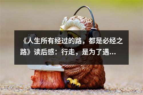 《人生所有經(jīng)過(guò)的路，都是必經(jīng)之路》讀后感：行走，是為了遇見(jiàn)更好的自己 (850字)