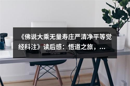 《佛說(shuō)大乘無(wú)量壽莊嚴(yán)清凈平等覺(jué)經(jīng)科注》讀后感：悟道之旅，心靈得以升華 (800字)