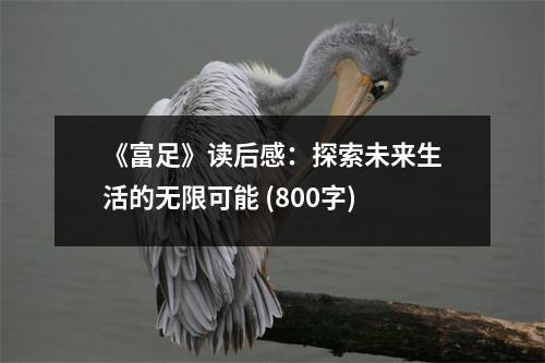 《富足》讀后感：探索未來生活的無限可能 (800字)