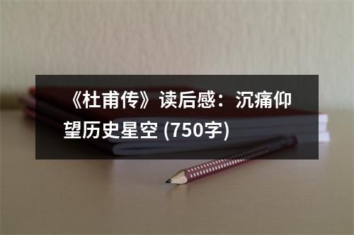 《杜甫傳》讀后感：沉痛仰望歷史星空 (750字)