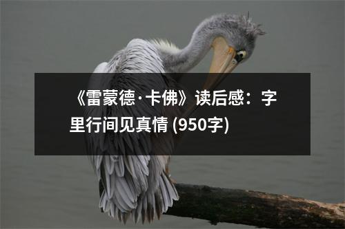 《雷蒙德·卡佛》讀后感：字里行間見真情 (950字)