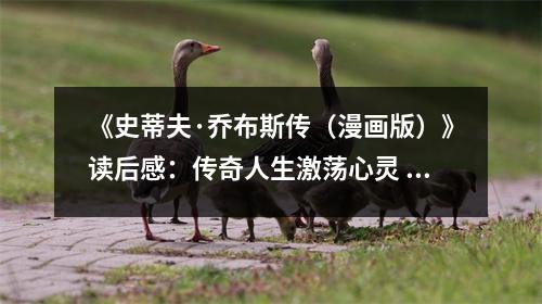 《史蒂夫·喬布斯傳（漫畫版）》讀后感：傳奇人生激蕩心靈 (1150字)
