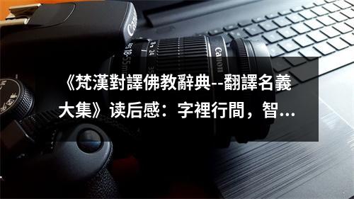 《梵漢對(duì)譯佛教辭典--翻譯名義大集》讀后感：字裡行間，智慧閃耀 (1000字)