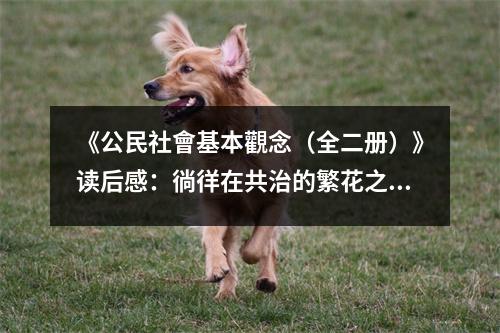 《公民社會基本觀念（全二冊）》讀后感：徜徉在共治的繁花之中 (900字)