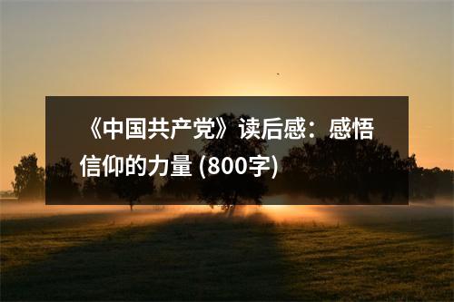 《中國(guó)共產(chǎn)黨》讀后感：感悟信仰的力量 (800字)