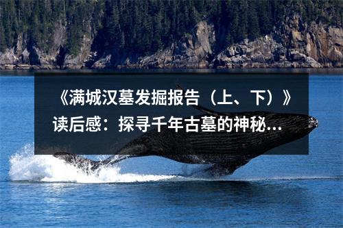 《滿城漢墓發(fā)掘報告（上、下）》讀后感：探尋千年古墓的神秘魅力 (700字)