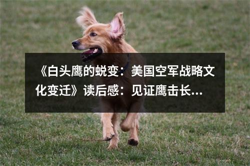 《白頭鷹的蛻變：美國空軍戰(zhàn)略文化變遷》讀后感：見證鷹擊長空的力量 (850字)