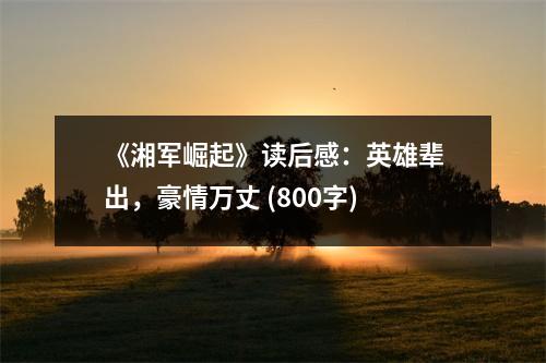 《湘軍崛起》讀后感：英雄輩出，豪情萬丈 (800字)