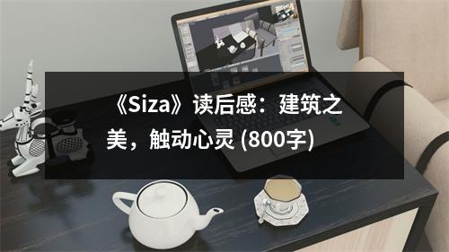 《Siza》讀后感：建筑之美，觸動心靈 (800字)