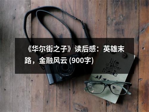 《華爾街之子》讀后感：英雄末路，金融風(fēng)云 (900字)
