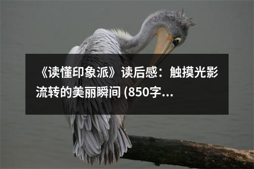 《讀懂印象派》讀后感：觸摸光影流轉(zhuǎn)的美麗瞬間 (850字)