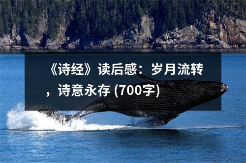 《詩(shī)經(jīng)》讀后感：歲月流轉(zhuǎn)，詩(shī)意永存 (700字)
