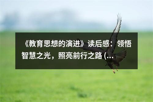 《教育思想的演進(jìn)》讀后感：領(lǐng)悟智慧之光，照亮前行之路 (900字)